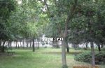 aTRIOREAL - 2I TEHLOVY BYT - RACA, KRASNANY - DVAKRAT BALKON !