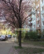 Predaj: 3-izb. byt v slušnom pôvodnom stave v centre Dunajskej Stredy, Dunajská